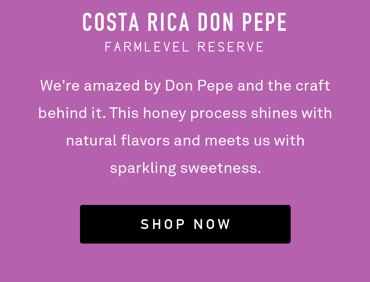 We’re amazed by Don Pepe and the craft behind it. This honey process shines with natural flavors and meets us with sparkling sweetness.