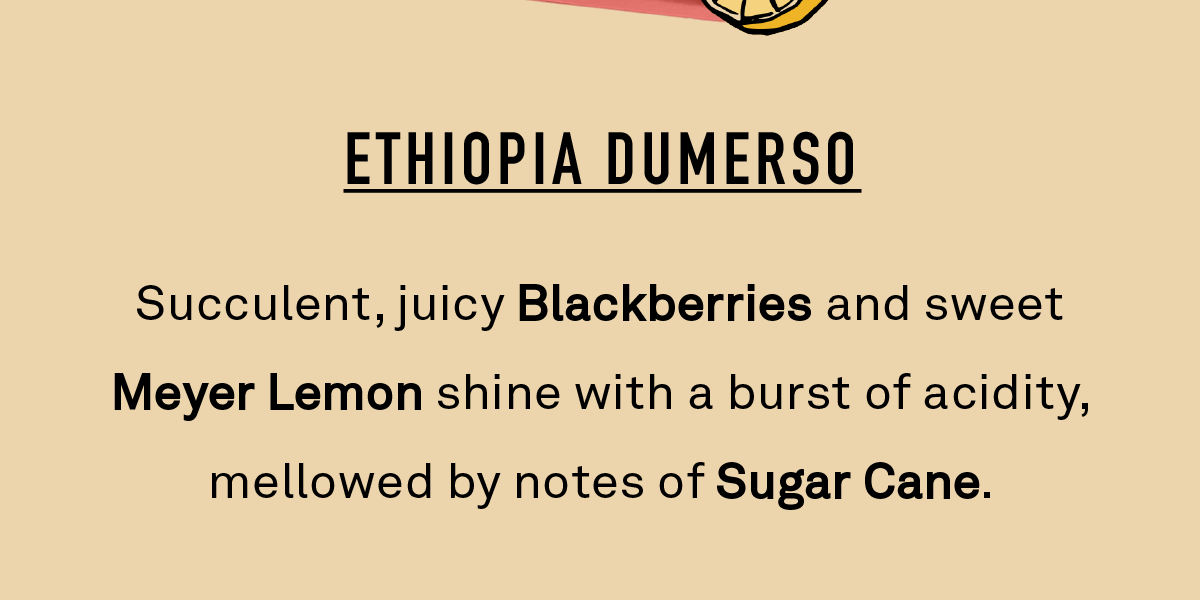 Succulent, juicy Blackberries and sweet Meyer Lemon shine with a burst of acidity, mellowed by notes of Sugar Cane.