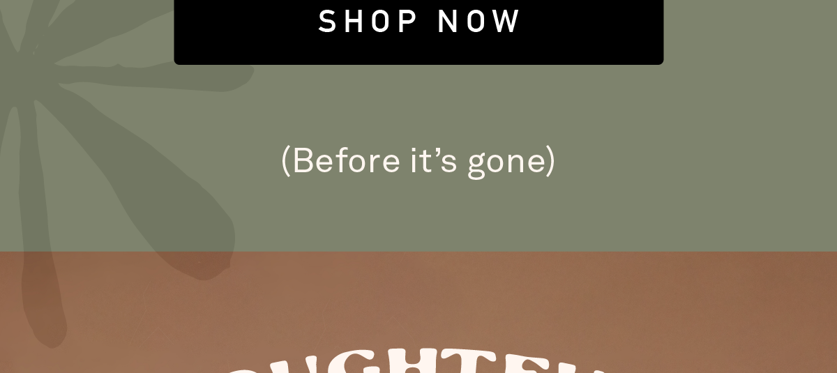 Shop Now. Before it's gone.