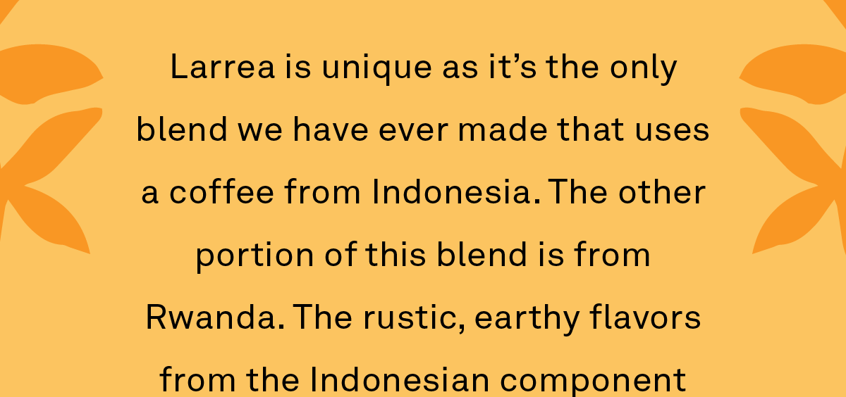 Larrea is unique as it’s the only blend we have ever made that uses a coffee from Indonesia. The other portion of this blend is from Rwanda. The rustic, earthy flavors from the Indonesian component anchor the florals and citrus from the Rwandan to create a versatile and nuanced seasonal cup.