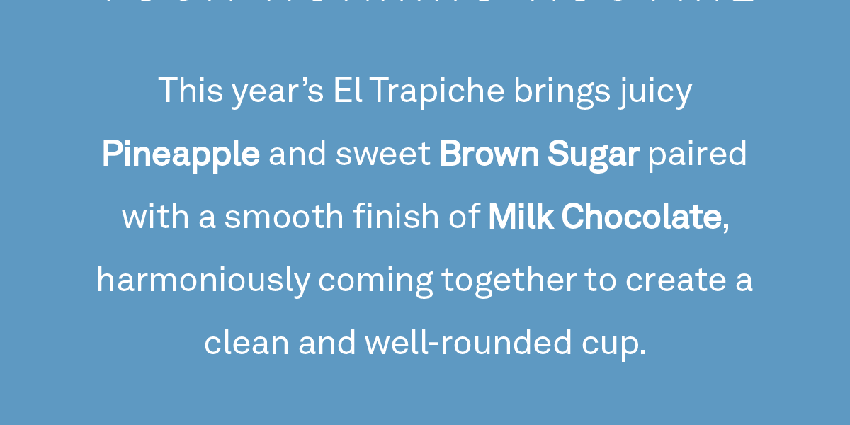 This year’s El Trapiche brings juicy Pineapple and sweet Brown Sugar paired with a smooth finish of Milk Chocolate, harmoniously coming together to create a clean and well-rounded cup.