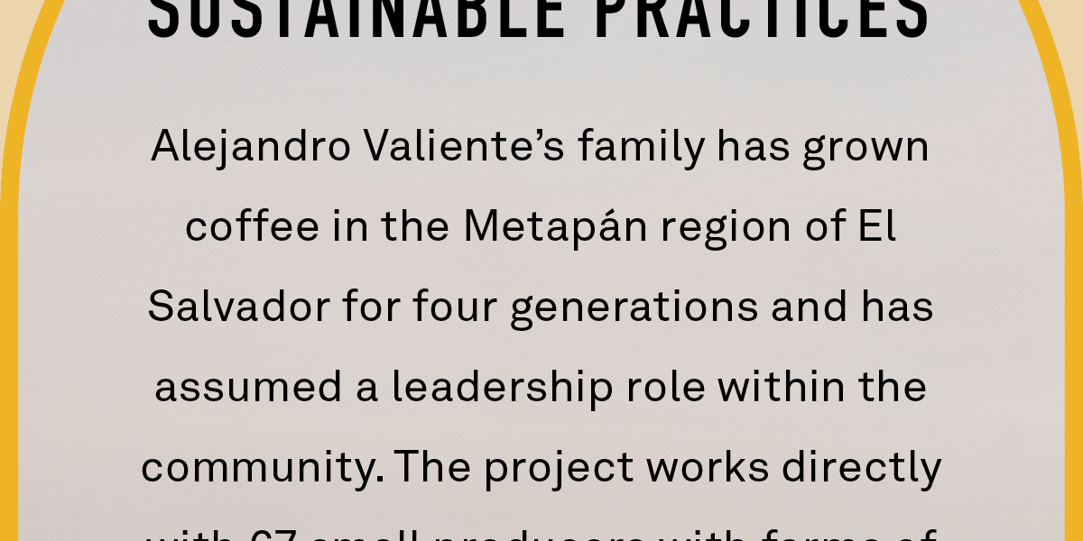 Alejandro Valiente’s family has grown coffee in the Metapán region of El Salvador for four generations and has assumed a leadership role within the community. The project works directly with 67 small producers with farms of 1-3 hectares for 100% traceability on each micro-lot. Seeing how this team seamlessly works with their environment to produce extraordinary coffees is incredibly inspiring.
