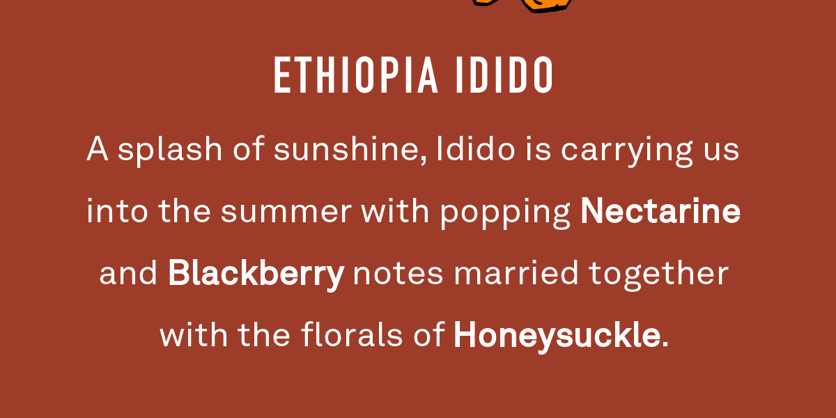 A splash of sunshine, Idido is carrying us into the summer with popping Nectarine and Blueberry notes married together with the florals of Honeysuckle.