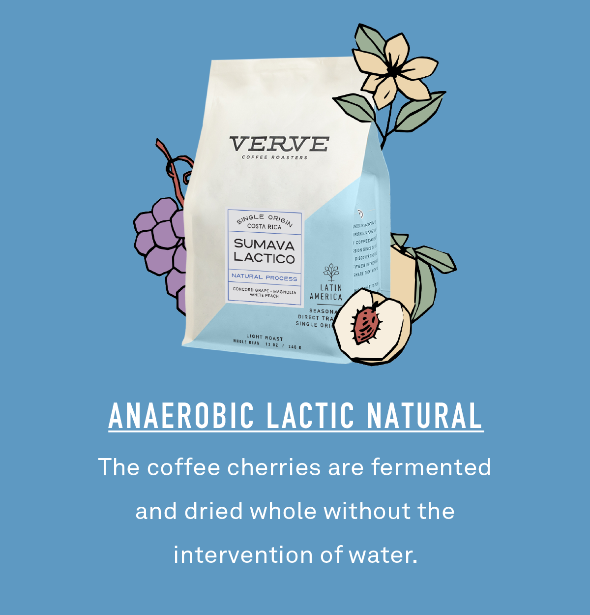 Anaerobic Lactic Natural. The coffee cherries are fermented and dried whole without the intervention of water.
