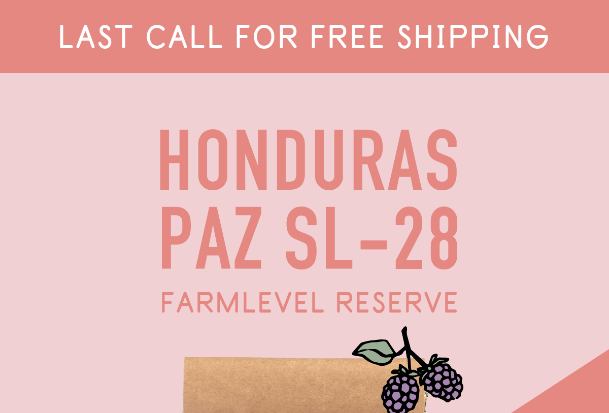 Last Call for Free Shipping