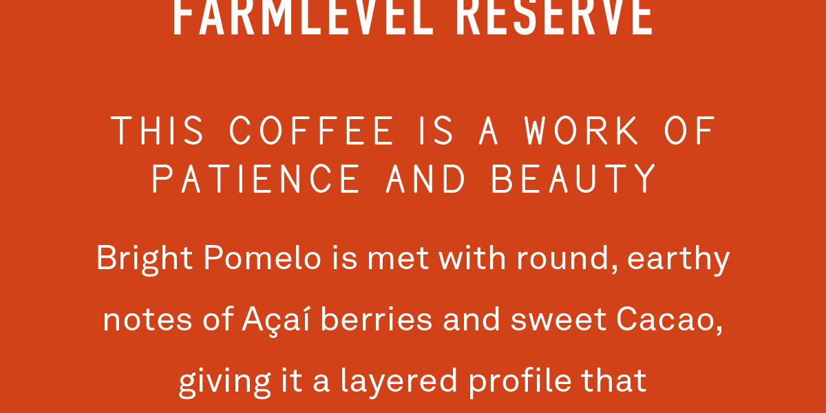 This coffee is a work of patience and beauty
