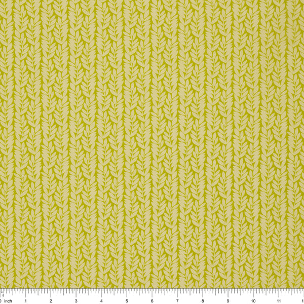 Foliage Citrus