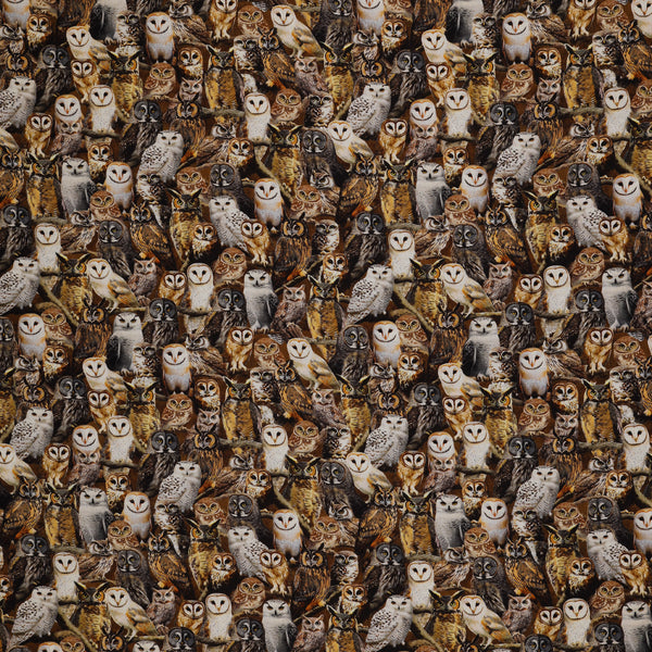 Wild Kingdom Fabric Collection - Observant Owls