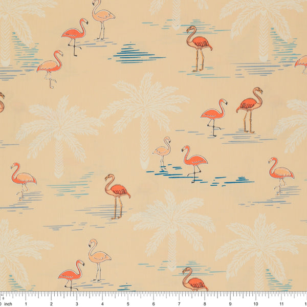 Flamingo Paradise