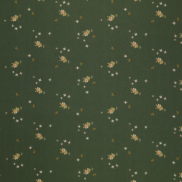 Delicate Balance Evergreen