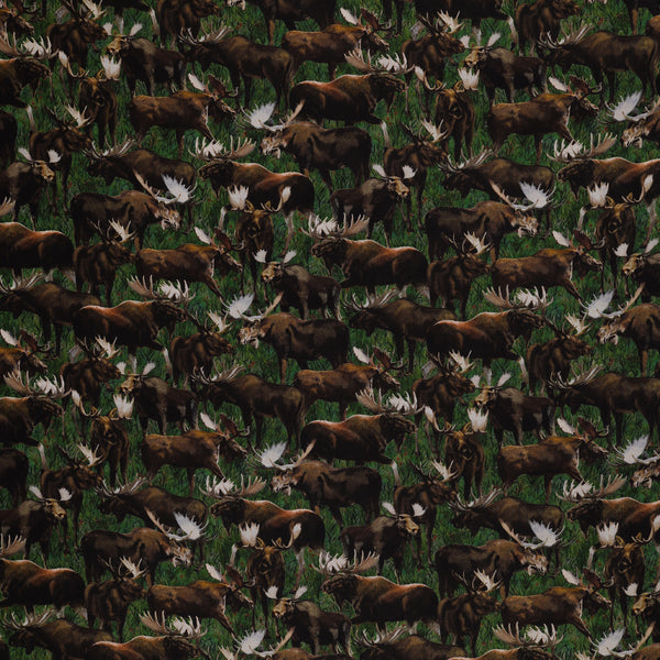 Wild Kingdom Fabric Collection - Majestic Moose