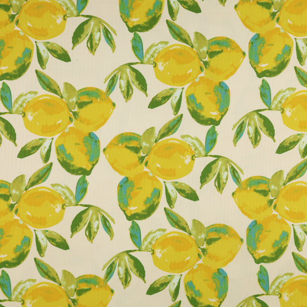 Yuma Lemons Mist in Canvas