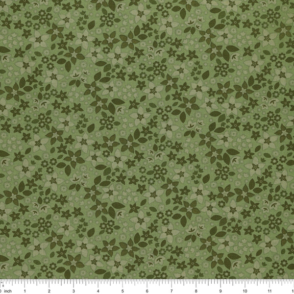 Star Flowers Evergreen