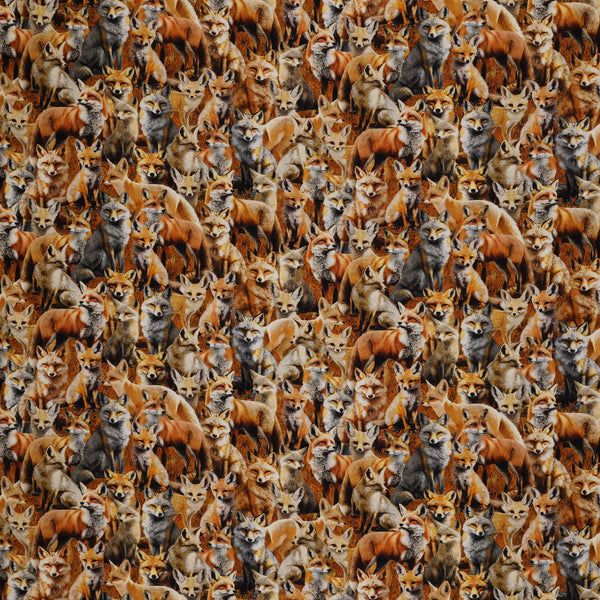 Wild Kingdom Fabric Collection - Sly Fox