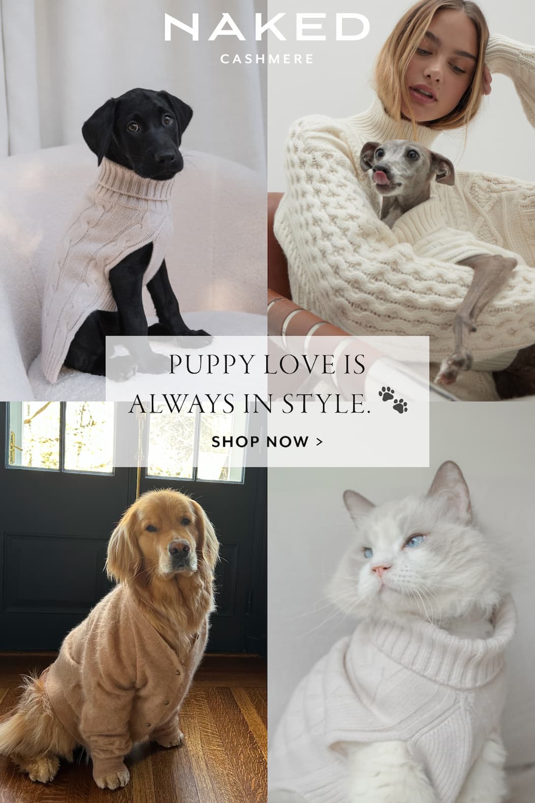 20% Off Dog Sweater