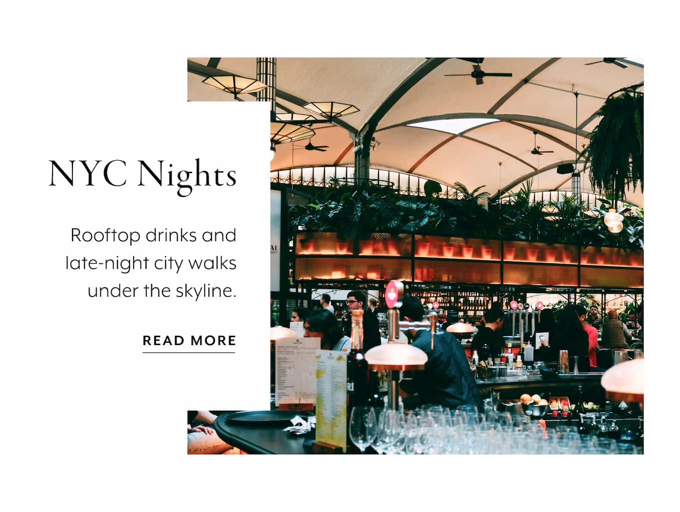 NYC Nights