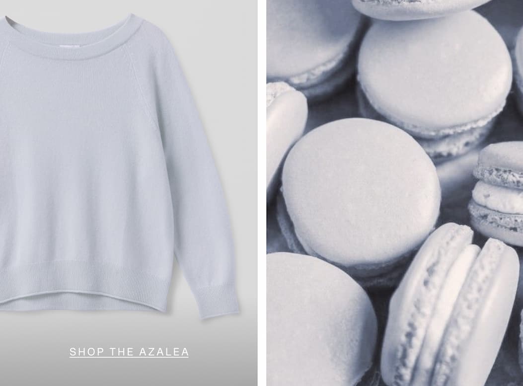 Shop Azalea
