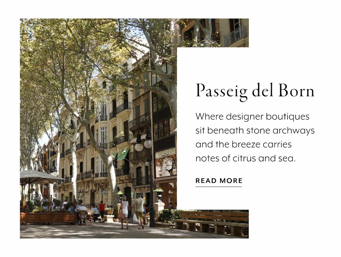 Passeig del Born