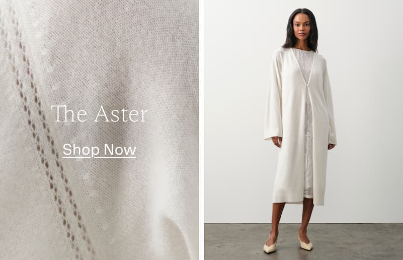 Shop Aster