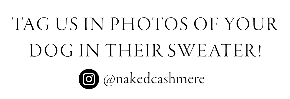 Tag Us on Instagram