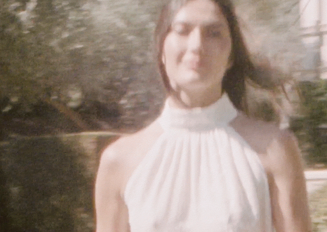 The Silk Vine Collection