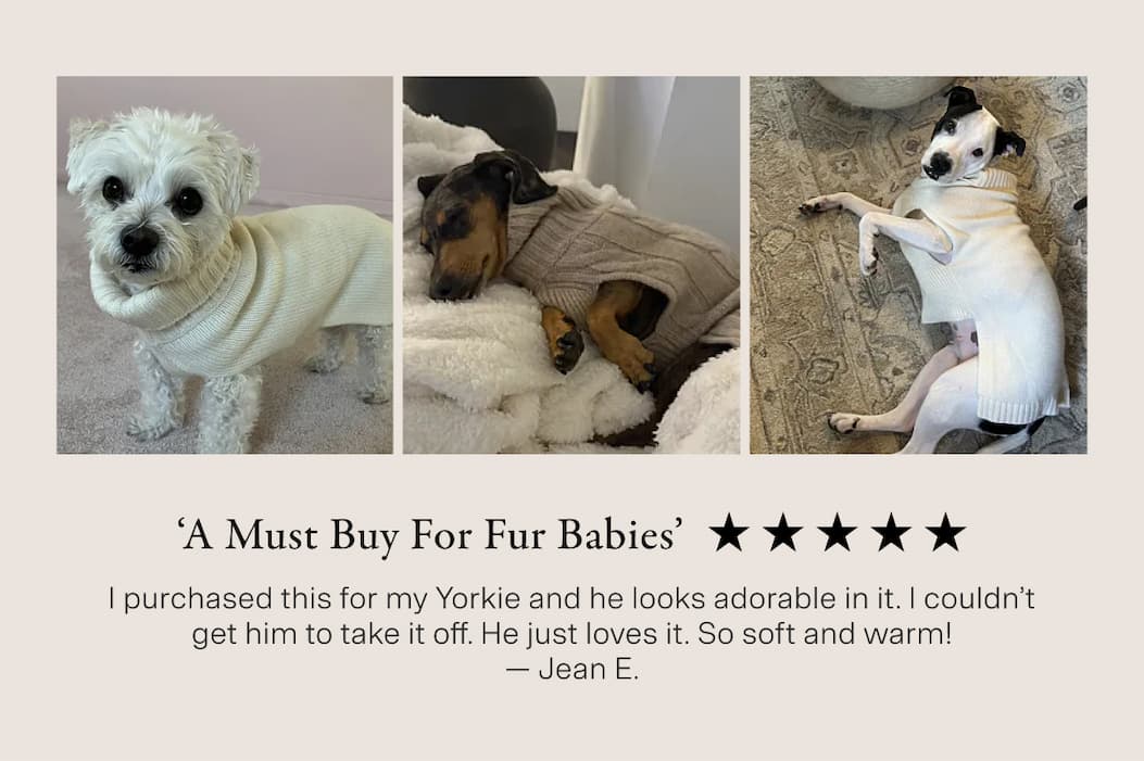 A Must Buy for Fur Babies