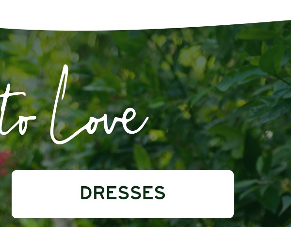 More to Love | [DRESSES]