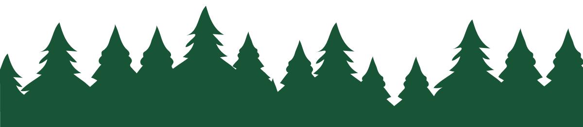 Black Friday Pre-Sale