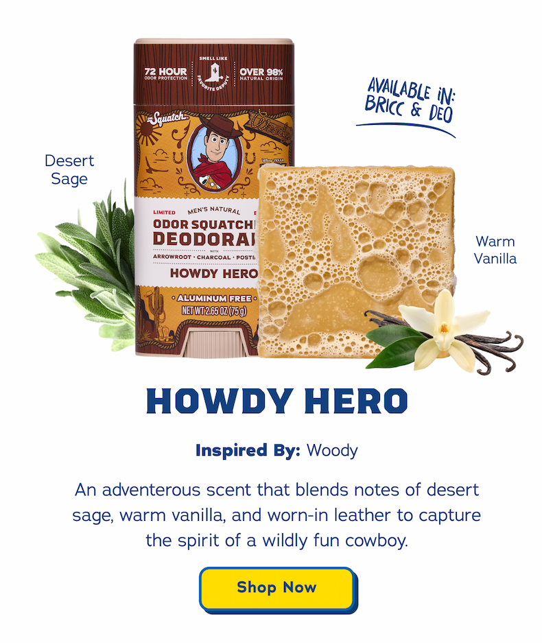 Howdy Hero