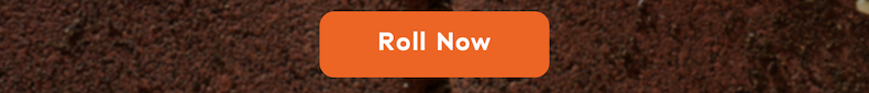 Roll Now