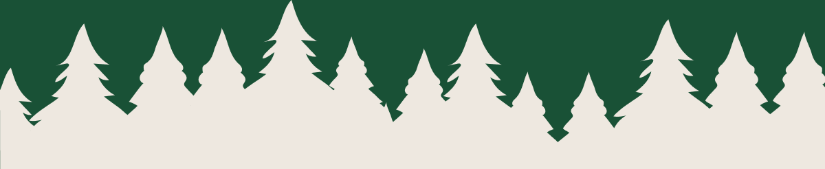 Black Friday Pre-Sale