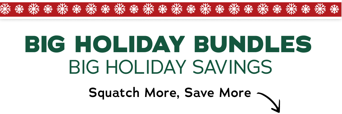 Big Holiday Bundles