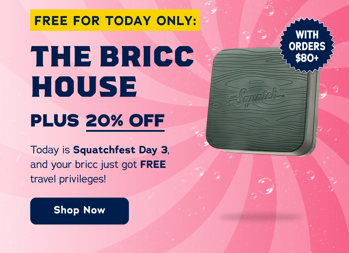 Free For Today Only: The Bricc House Plus 20% Off