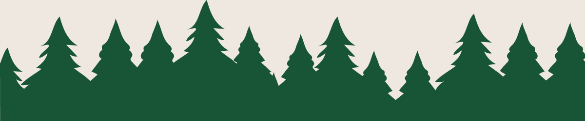 Black Friday Pre-Sale