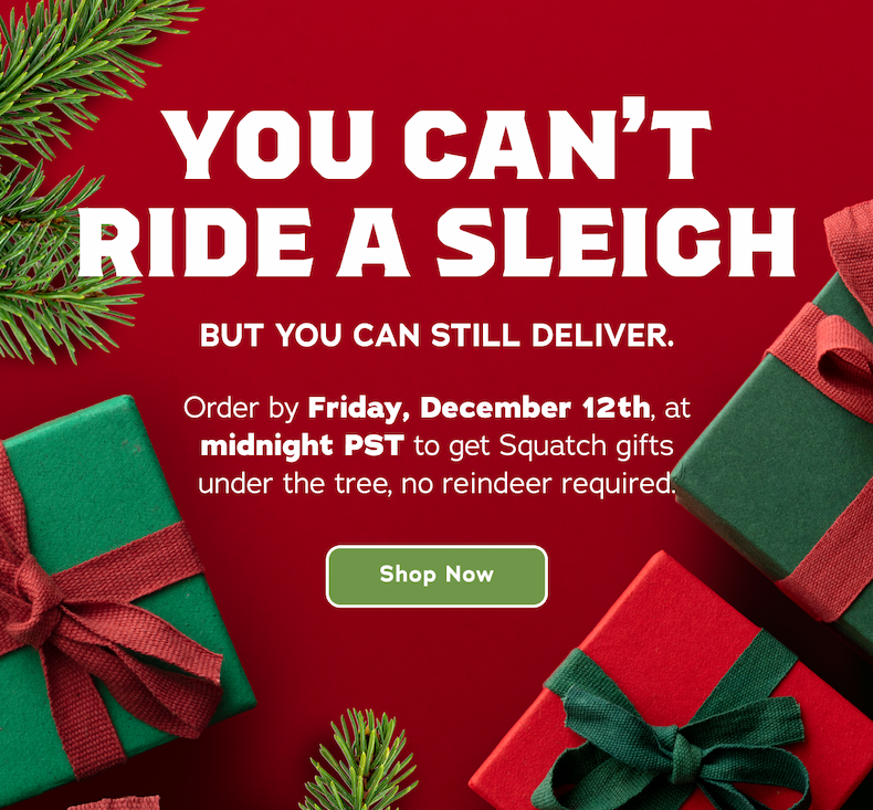 You Can't Ride A Sleigh But You Can Still Deliver