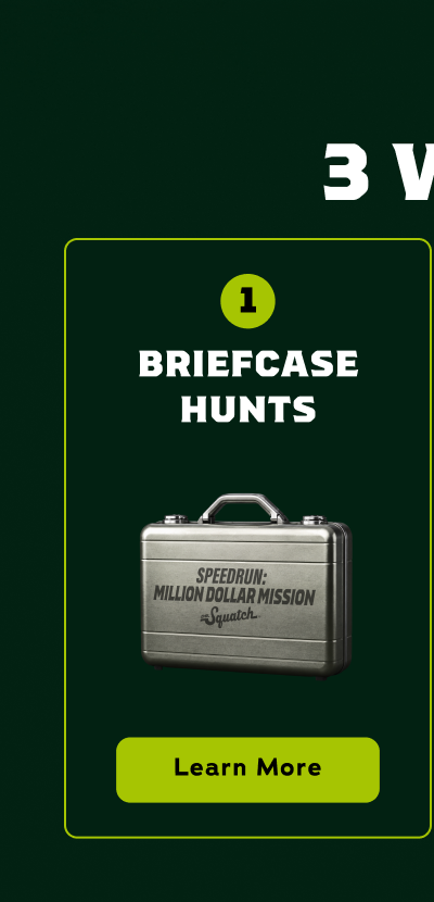 1 - Briefcase Hunts - Learn More
