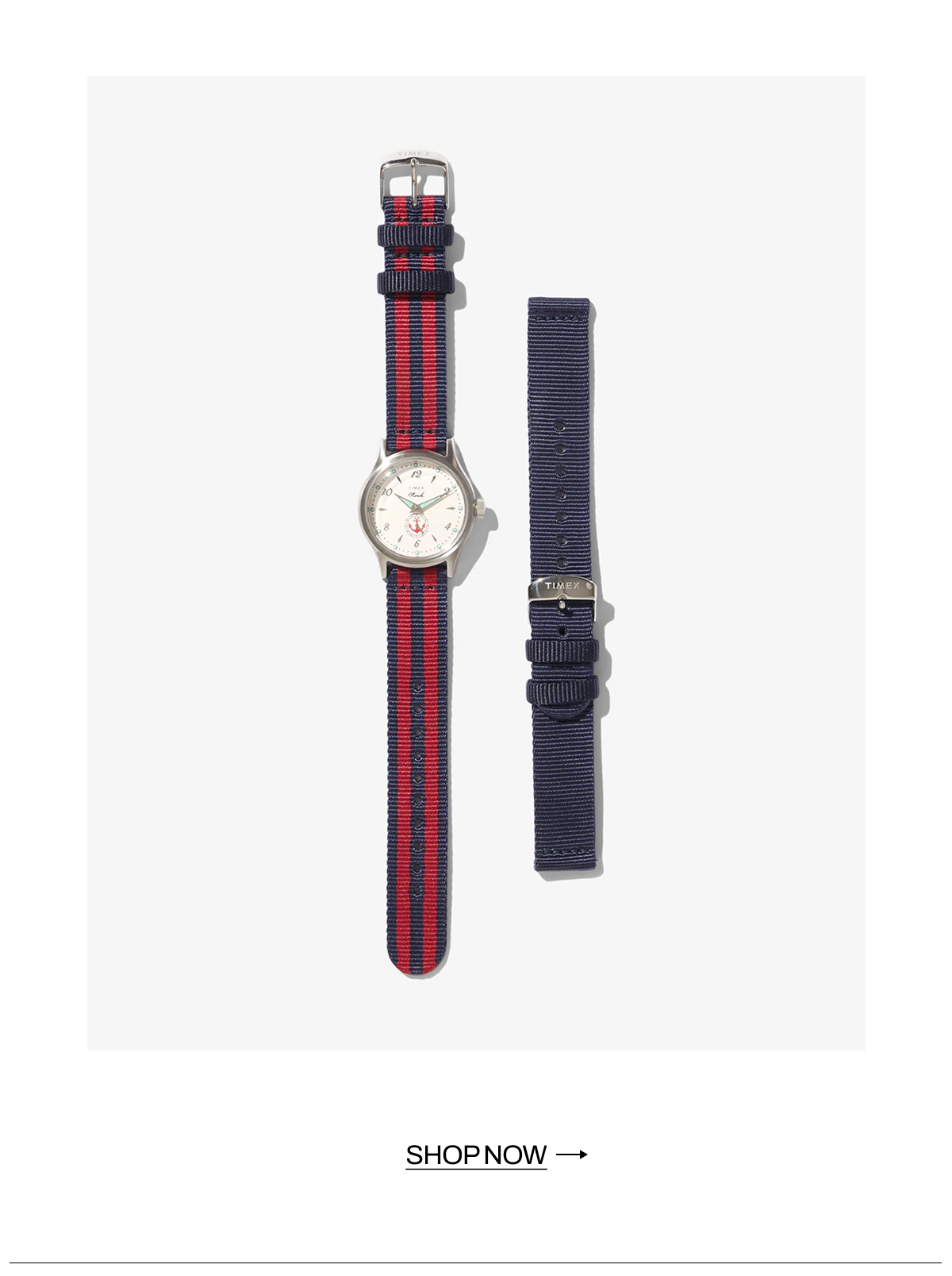 Noah x Timex