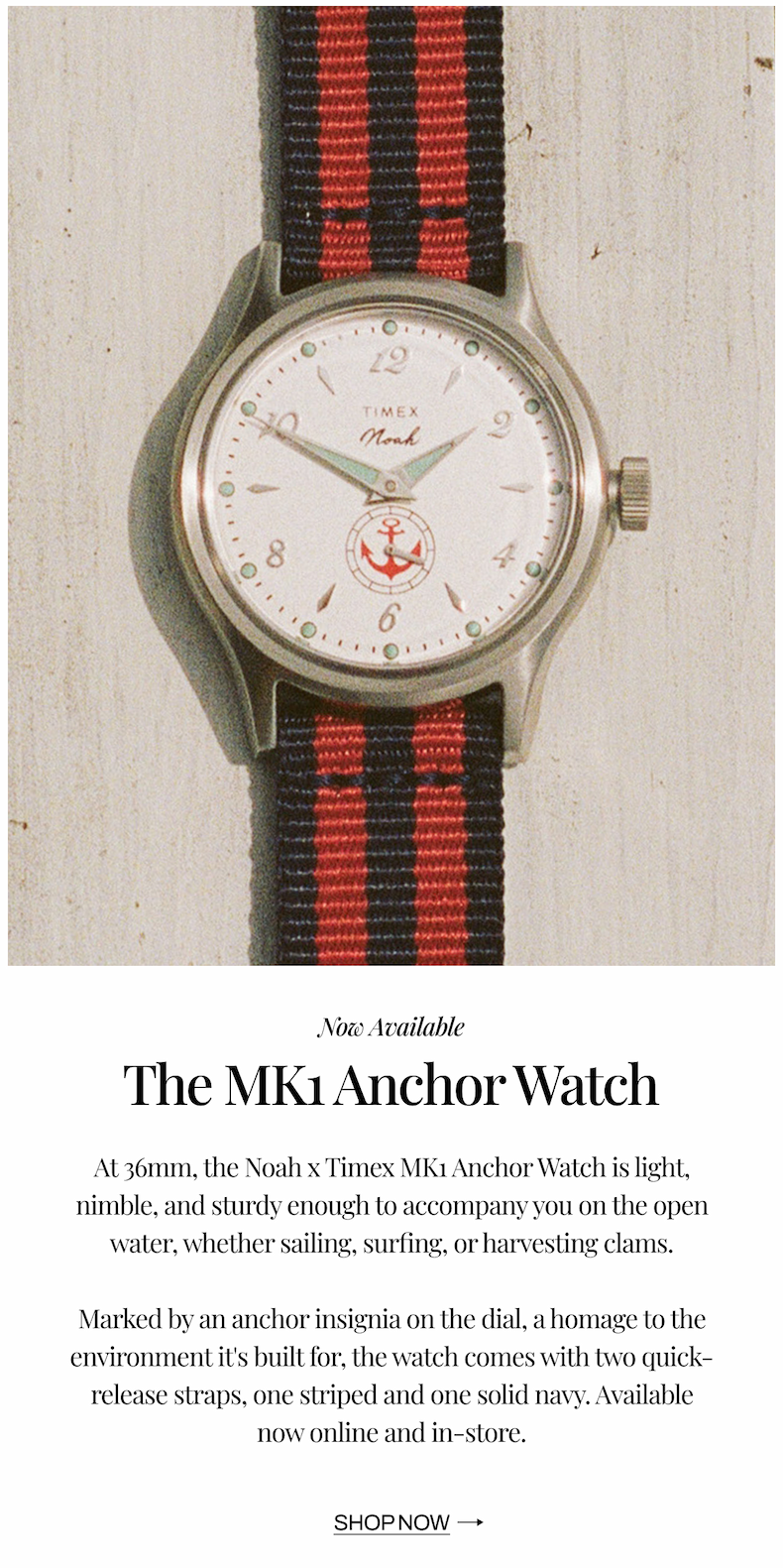 Noah x Timex 