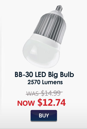 Stonepoint LED Lighting BB-30 LED Big Bulb