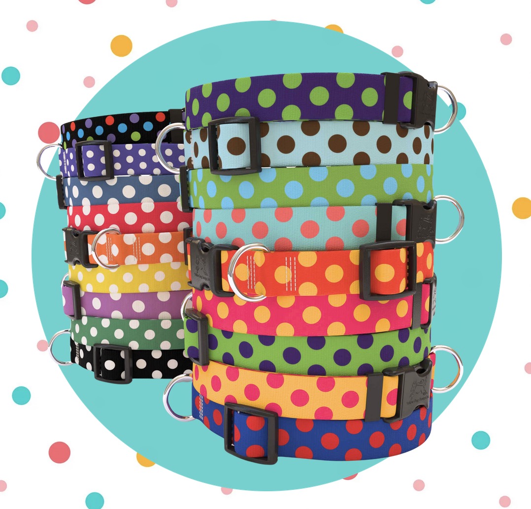 Hot Dot Collars