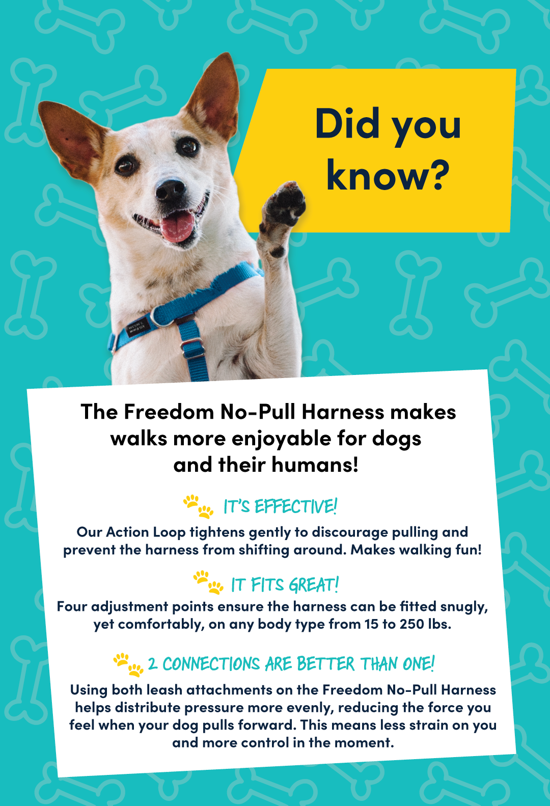 Did you know these things about the Freedom Harness?  