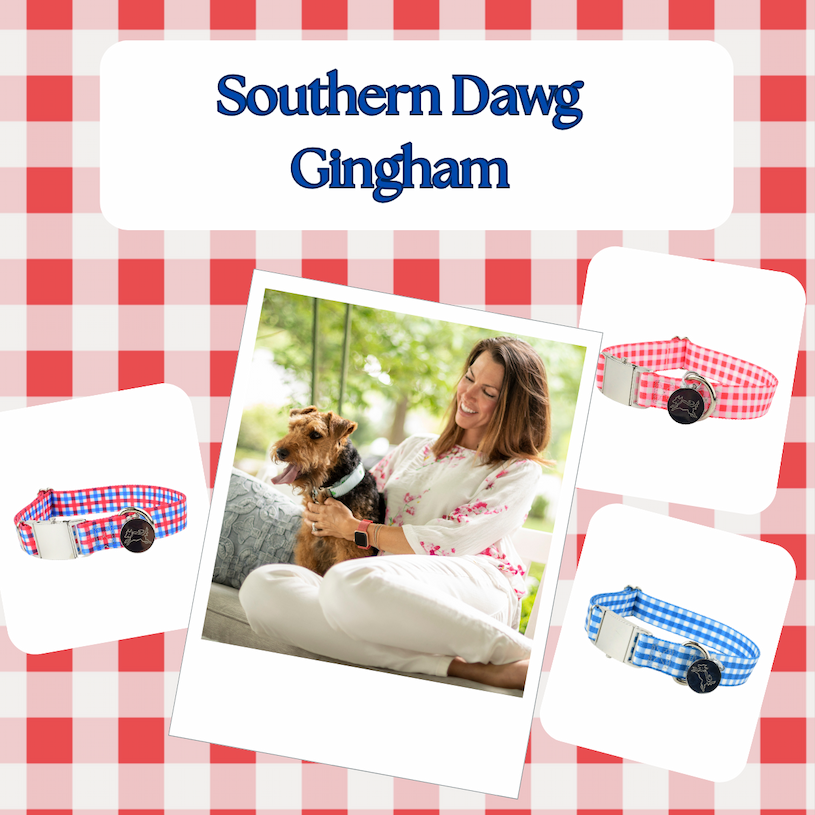 Southern Dawg Gingham collars