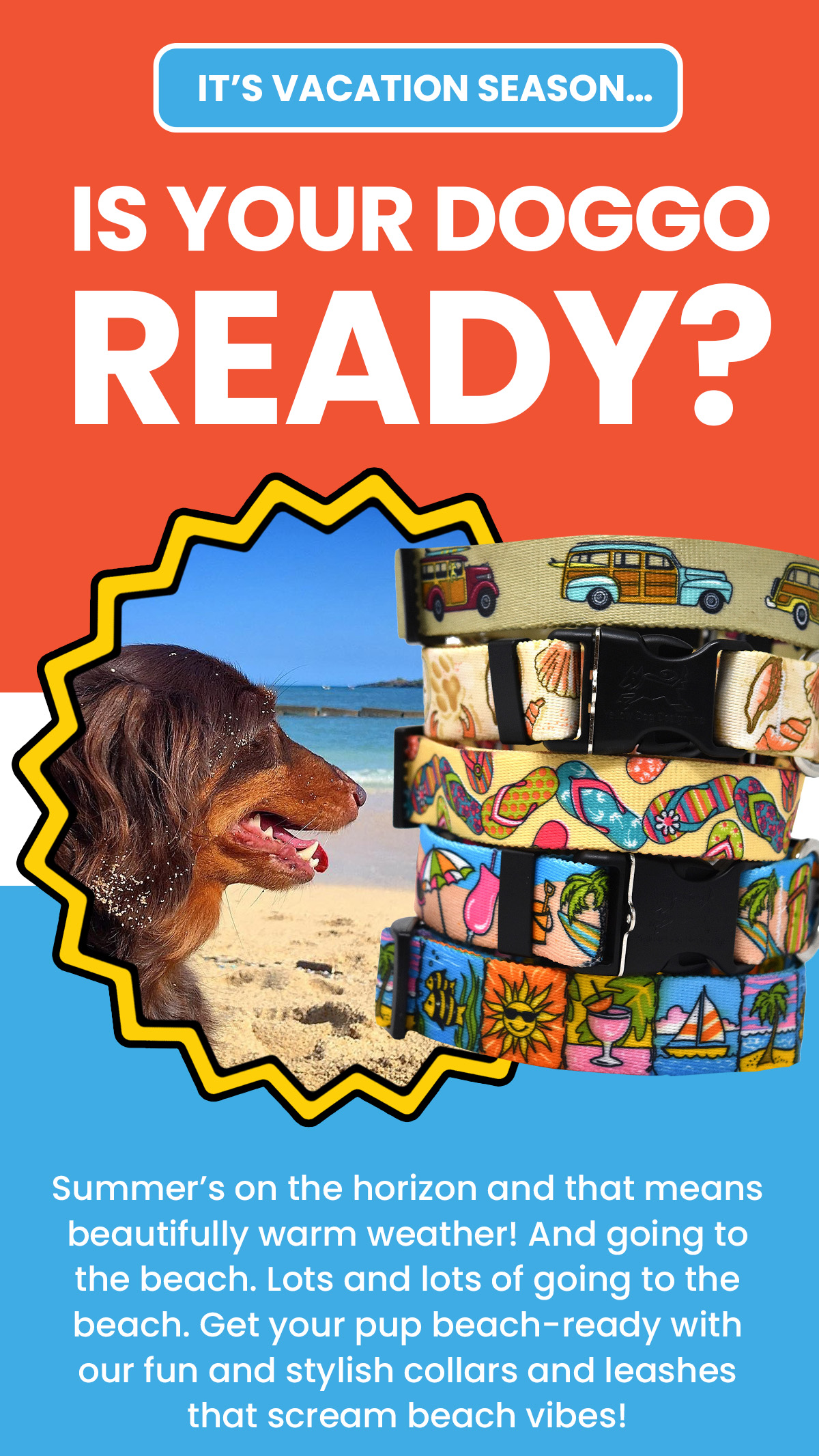 Shop Hot Dog Collars for beach inspired leashes and collars.