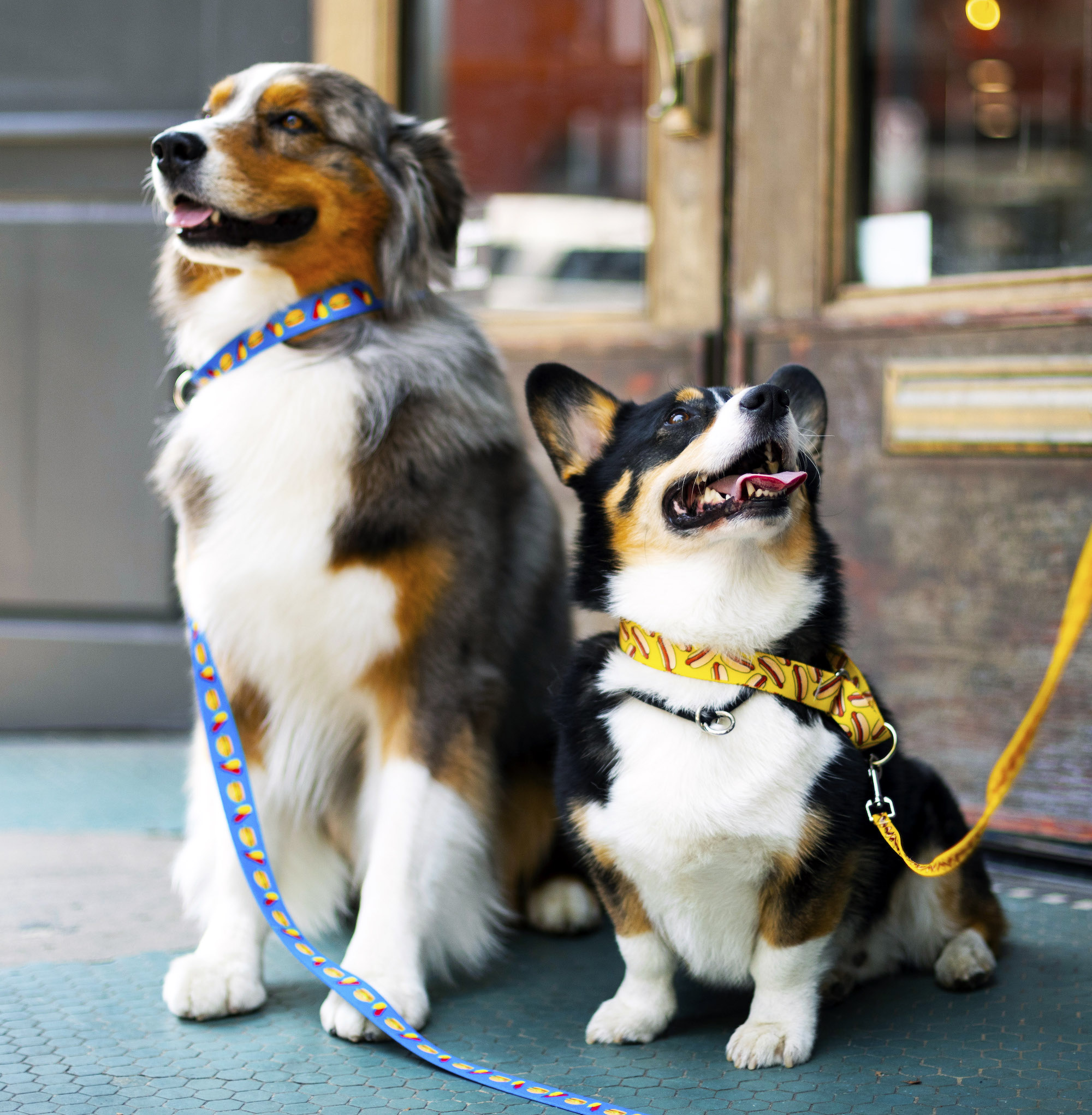 Dogs wearing Hamburger and Hot Dog Collars