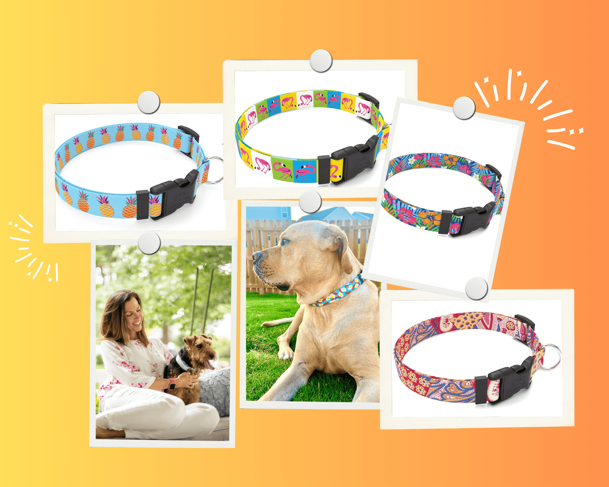 Sunny Side Up collars and leashes