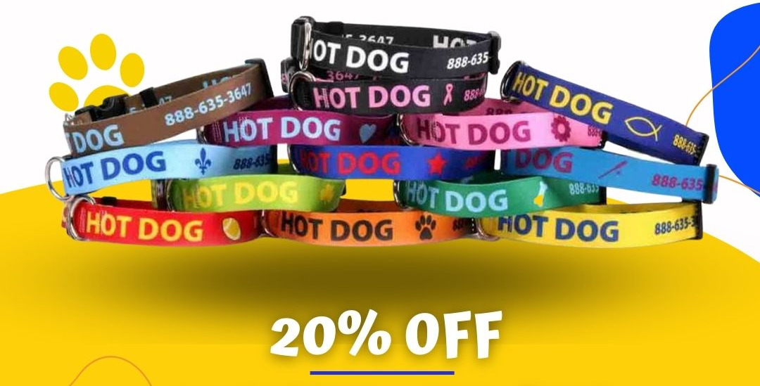Personalized Dog Collars