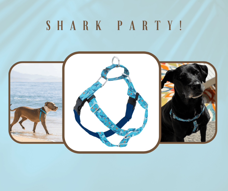 Shark Party Freedom No-Pull Harness