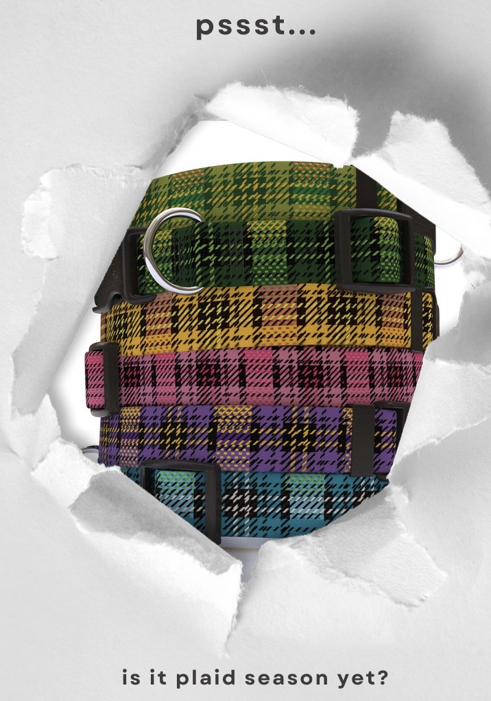 is it plaid season yet?