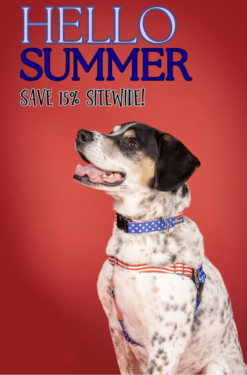 USE CODE HELLOSUMMER for 15% off