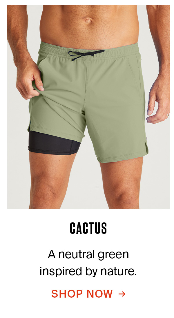 THE WARREN SHORT WITH LINER | CACTUS